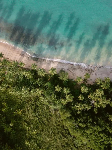 Palm Beach from Above, wall art by Raisa Zwart