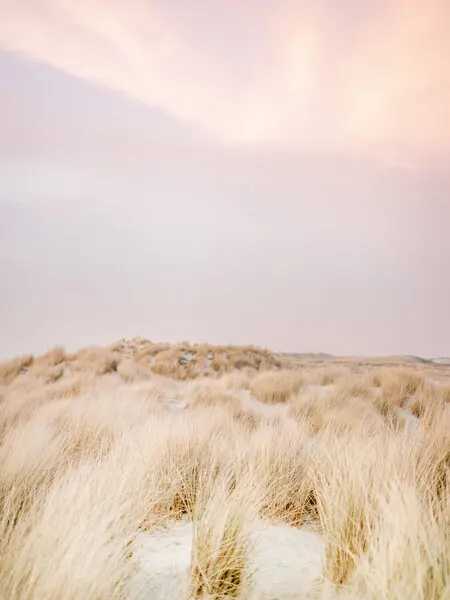 Ameland Dunes 2, wall art by Raisa Zwart