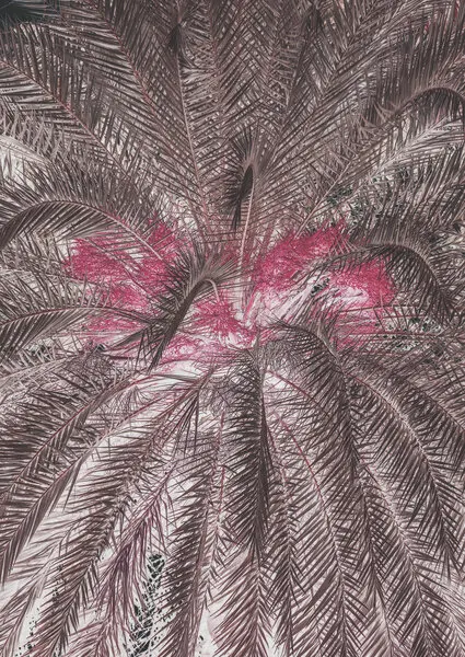 Vivid Portrayal Of Palm Leaves, wall art by Shot by Clint