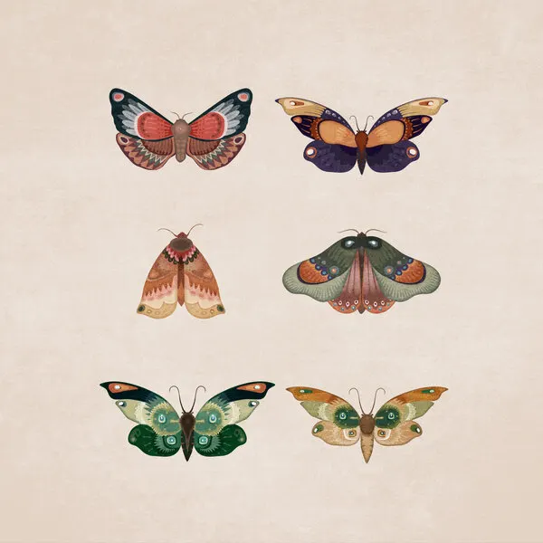 Winged Elegance, wall art by Emel Tunaboylu