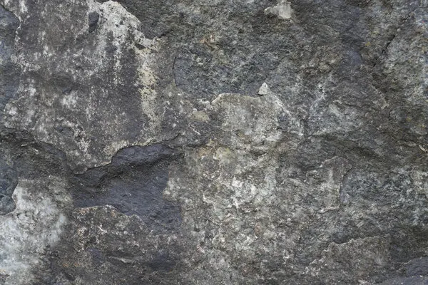Rugged Gray Rock, wall art by Bilge Paksoylu