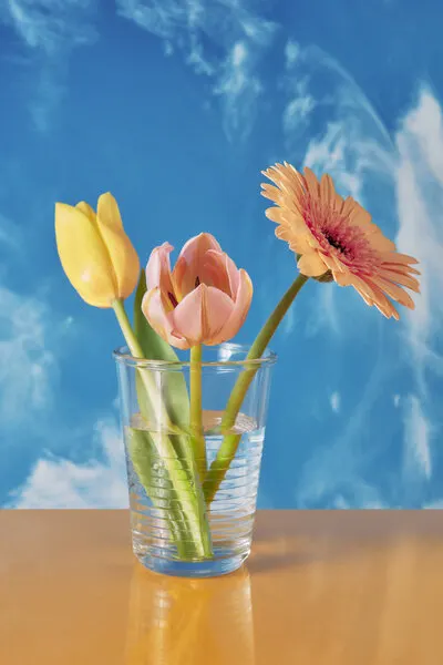 Spring Flowers Blue Sky, wall art by Julia Ramiro
