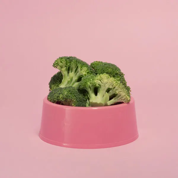 Fresh Broccoli Pink Bowl, wall art by Julia Ramiro