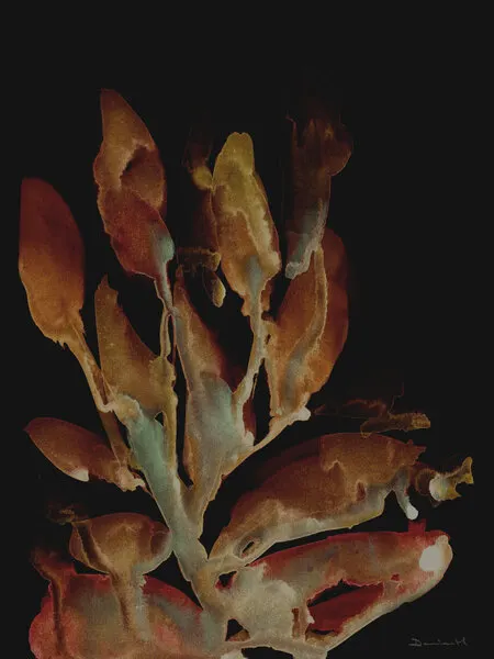 Night Plant, wall art by Dan Hobday