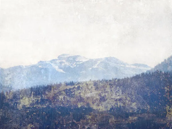 Misty Mountain Forest, wall art by Gemma Bardot