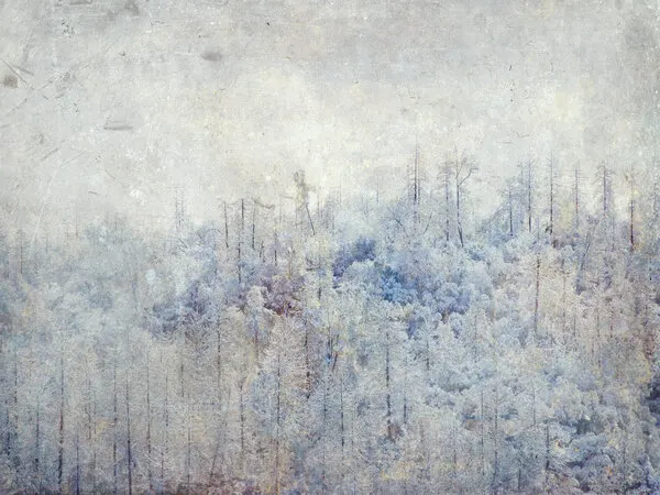 Serene Snowy Trees, wall art by Gemma Bardot