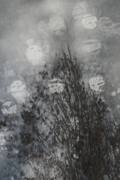 Winter Tree Bokeh, wall art by Imaginative