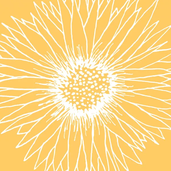 Line Art Sunflower, wall art by Kristian Gallagher