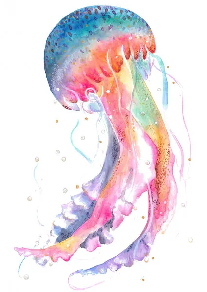Jellyfish With Rainbow Hues, wall art by Isabelle Brent