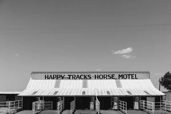 Happy Tracks Horse Motel, wall art by Bethany Young
