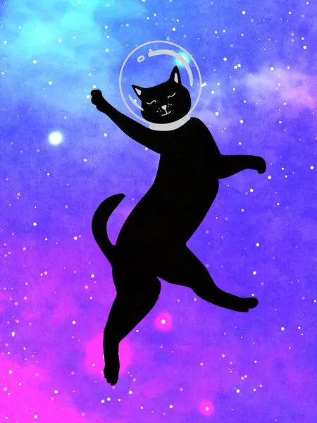 Happy Space Cat, wall art by Raissa Oltmanns