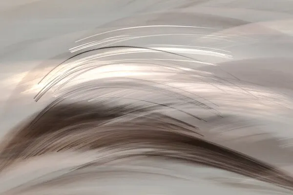Flowing Abstract Light, wall art by Christina Sillen