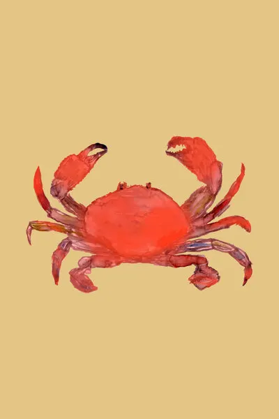 Vibrant Red Crab, wall art by cartissi