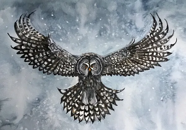 Great Gray Owl Flight, wall art by Monica Lindblom