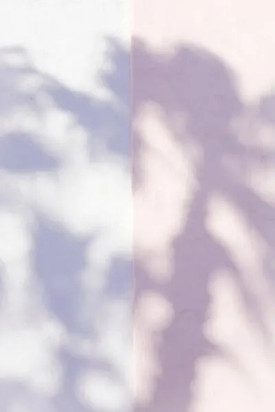 Soft Lavender Shadows, wall art by Pictufy Studio III
