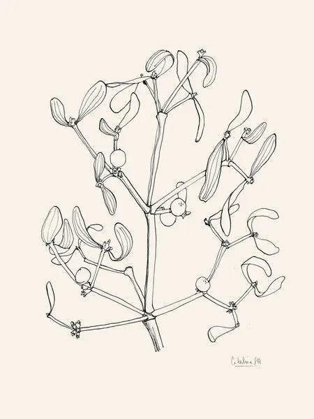 Holiday Mistletoe Line Art, wall art by Catalina Somolinos