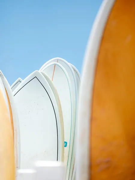 Surf Vibes, wall art by Raisa Zwart