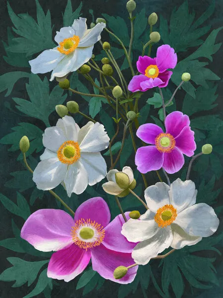 Anemone Flowers, wall art by Katie O'Shea