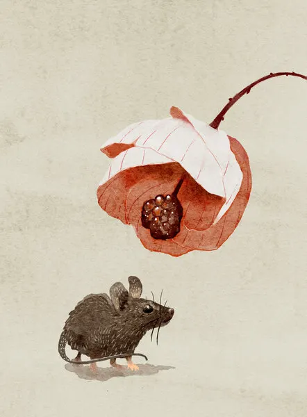 Mouse and Flower, wall art by Katie O'Shea