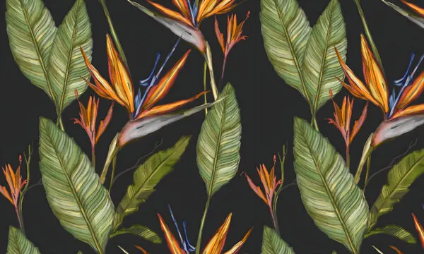 Exotic Bird of Paradise, wall art by Josie George