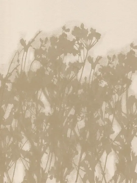 Botanical Shadows, wall art by Dina Dankers