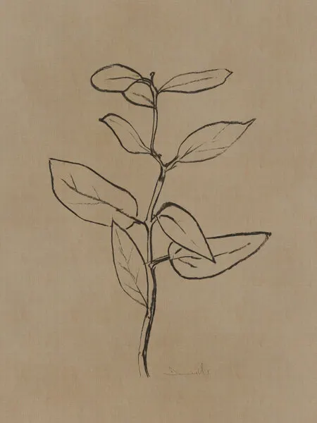 Eucalyptus Sapling, wall art by Dan Hobday