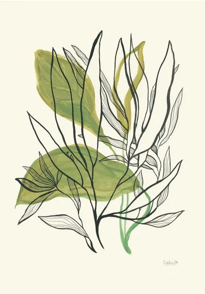 Modern Botanical Leaves, wall art by Catalina Somolinos