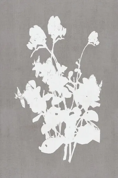 White Floral Silhouette, wall art by cartissi
