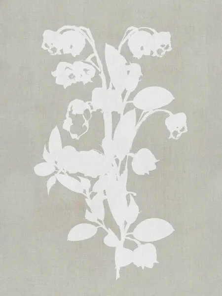 White Botanical Blooms, wall art by cartissi