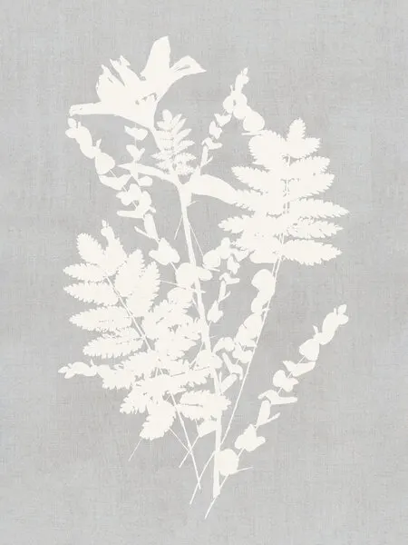 Botanical Silhouette Study, wall art by cartissi