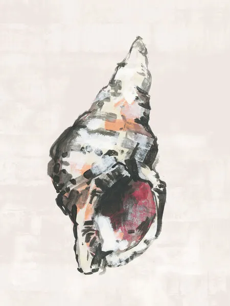 Painted Coastal Shell, wall art by cartissi