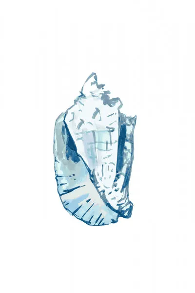 Ocean Blue Conch, wall art by cartissi