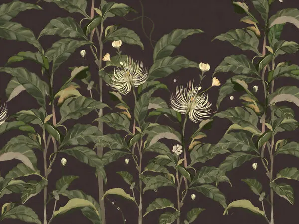 Dark Tropical Bloom, wall art by Josie George