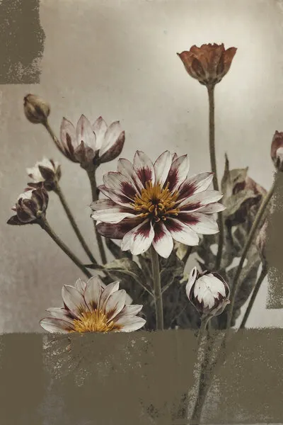 Soft Vintage Blooms, wall art by The Art Concept