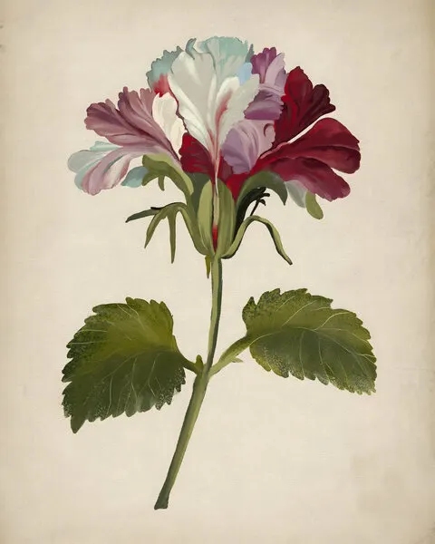 Vibrant Geranium Bloom, wall art by Josie George