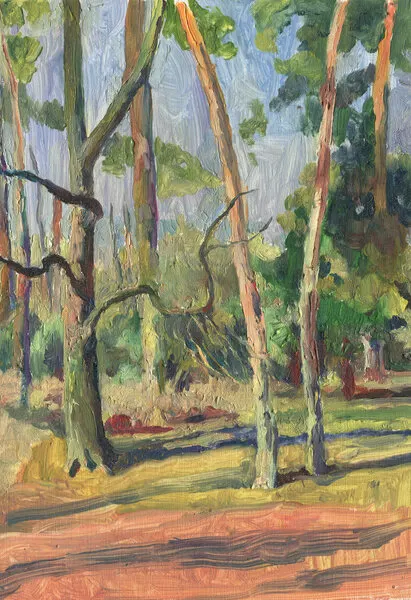Sunlit Forest Path, wall art by Catalina Somolinos