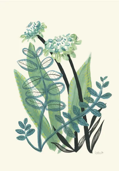 Lush Green Botanicals, wall art by Catalina Somolinos