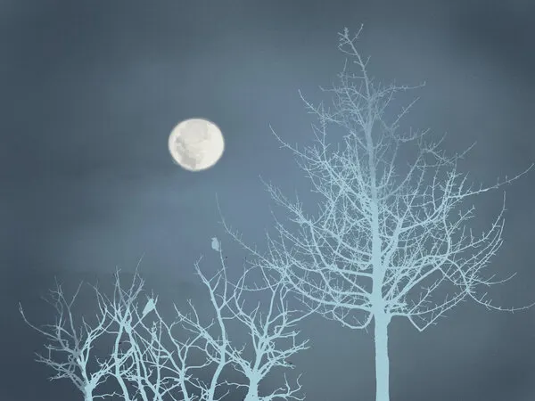 Moonlit Winter Night, wall art by Little Dean