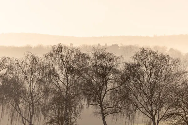 Fading Horizons 1, wall art by Mareike Böhmer
