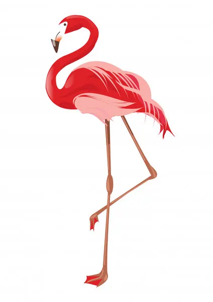 Vibrant Pink Flamingo, wall art by Nicholas