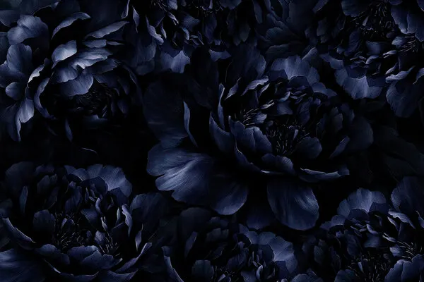 Moody Blue Peonies, wall art by Uta Naumann
