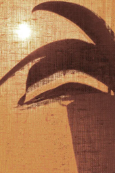 Golden Morning Silhouette, wall art by Christina Sillen