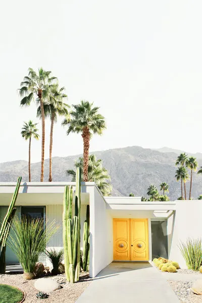Palm Springs 2, wall art by Kathrin Pienaar