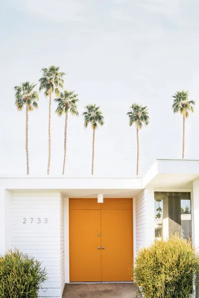 Palm Springs 1, wall art by Kathrin Pienaar