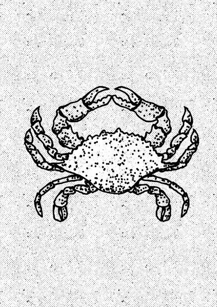 Black And White Crab, wall art by Nicholas