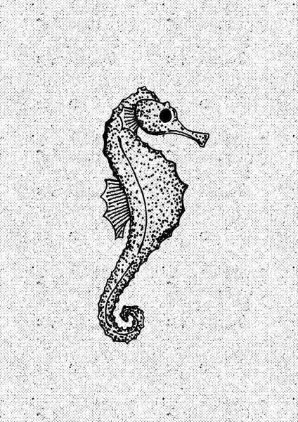 Elegant Seahorse Illustration, wall art by Nicholas