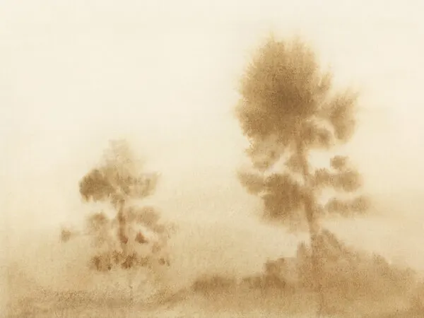 Misty Meadow, wall art by Dan Hobday