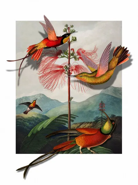 Vibrant Tropical Hummingbirds, wall art by Marja van den Hurk