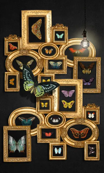 Vintage Butterfly Gallery, wall art by Marja van den Hurk