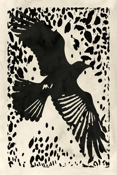 Dark Raven Soaring, wall art by cartissi